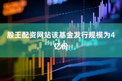 股王配资网站该基金发行规模为4亿份